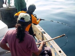 Salt Water Fishing, Muzz 21st Dec'14 Taru
