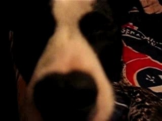 baraka attaque l'appareil photo