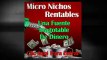 GANAR DINERO CON MICRO NICHOS RENTABLES 2.0