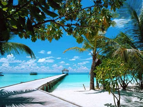 【作業用BGM】ゲームの神BGM集④