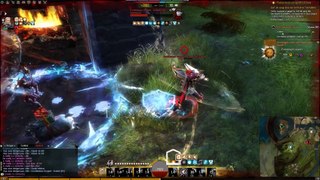 Guild Wars 2 WvW Lord Nekwill and Empress Babydoll Vs 2 Warriors
