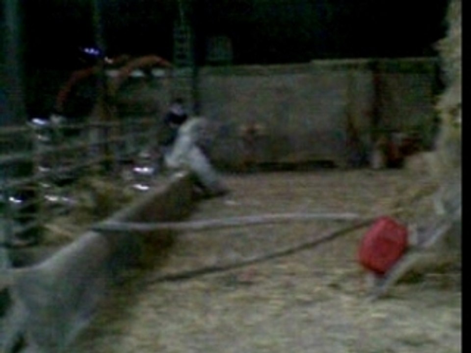 Chute