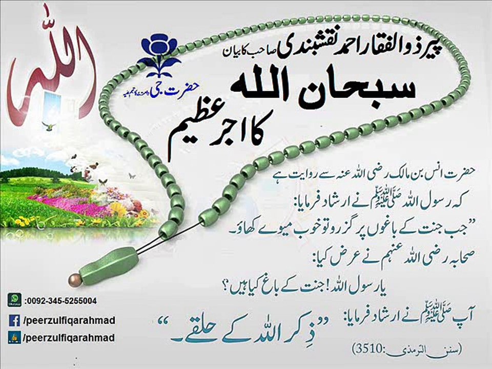 ek dafa subhanallah ka ajr. peer zulfiqar ahmad naqshbandi (db)