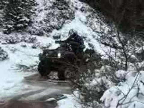 Rando Vosges TGB Blade 250 / 425