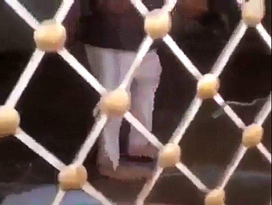 Must Watch