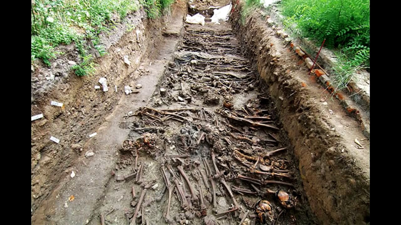 Остров Повеглия, Италия