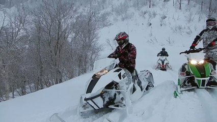 Go for,it Bear 2014-2015 SNOWMOBILE