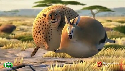 Cực buồn cười: thế giới động vật béo phì