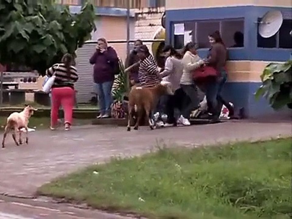 Funny video