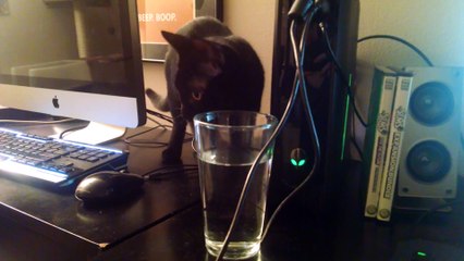 This is why we can't have nice things.
