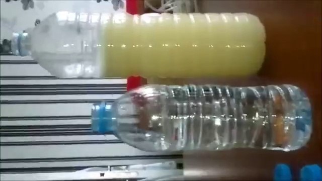 DIY Basit CO2 Yapımı mayalı Bitkili Akvaryum Lepistes Kılıçkuyruk