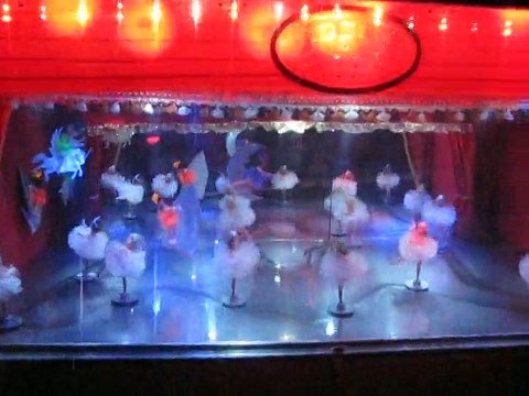 Thury-sous-Clermont : Découvrer le jardin illuminé de C. Gérôme