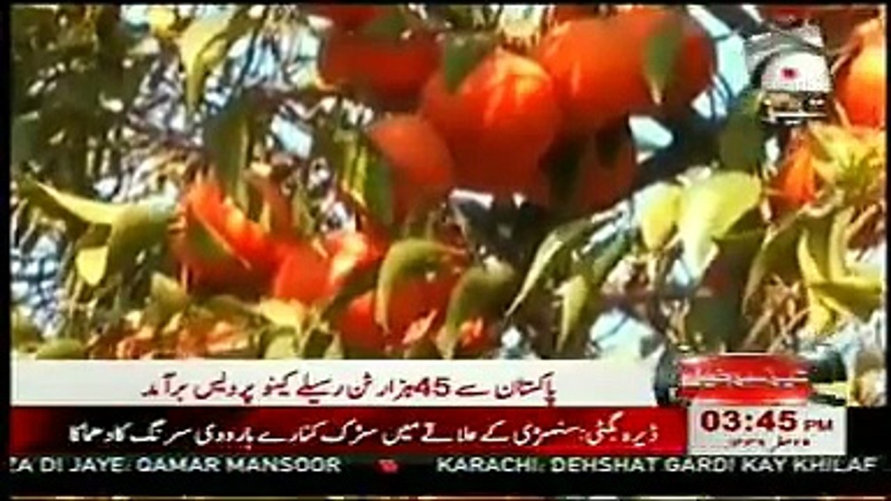 News Headlines Today 22nd December 2014 Geo Tez Latest News Updates Pakistan 22-12-2014