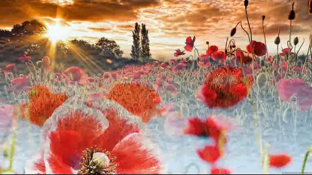 Si tu me dices ven - Mari Trini