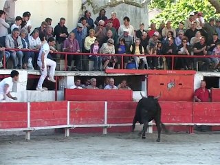 LES PALUDS DE NOVES 2009 PALUNIER DE F MAILHAN