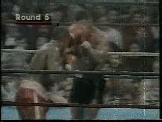 Ko de mike tyson par nordine