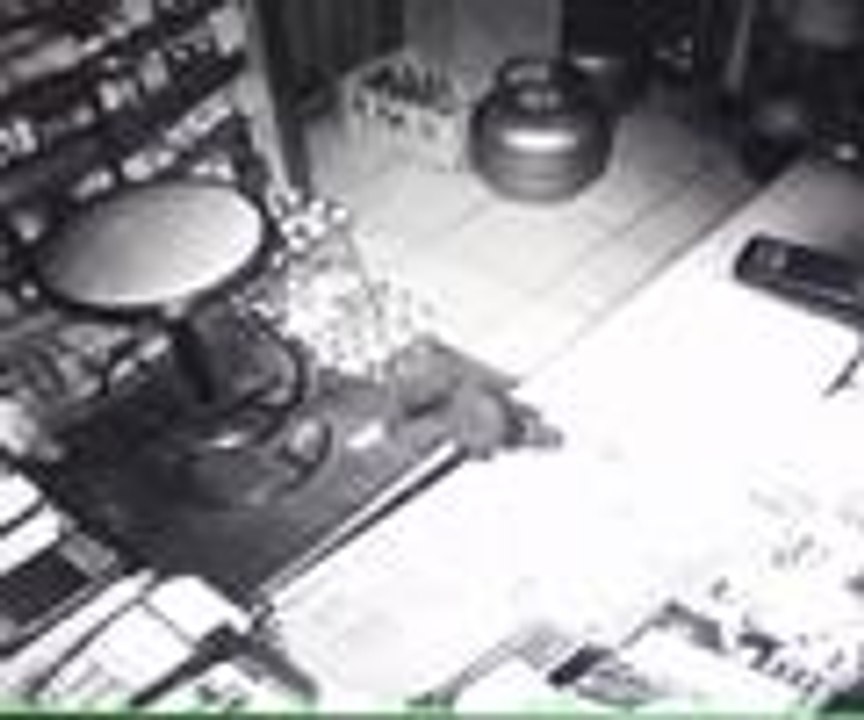 Yazar kasayı kedi açtı, hırsız soydu