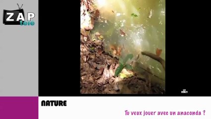 Zapping du net du 18 décembre 2014