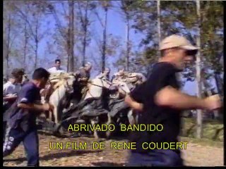 BELLEGARDE 2008 ABRIVADO BANDIDO    MANADE  PIERRE  AUBANEL