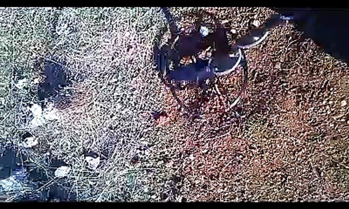 Nexus Metal Detector