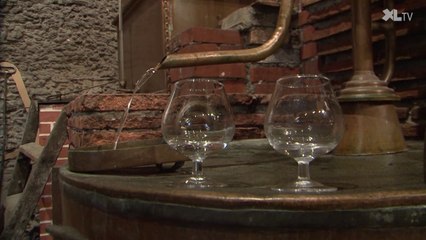 Sept siècles d'histoire au Domaine d'Ognoas