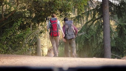 2015 Honda CR-V Touring Commercial