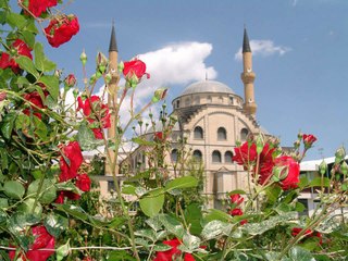 Menzilin Efendisi / 2563 (Menzil DURAK)