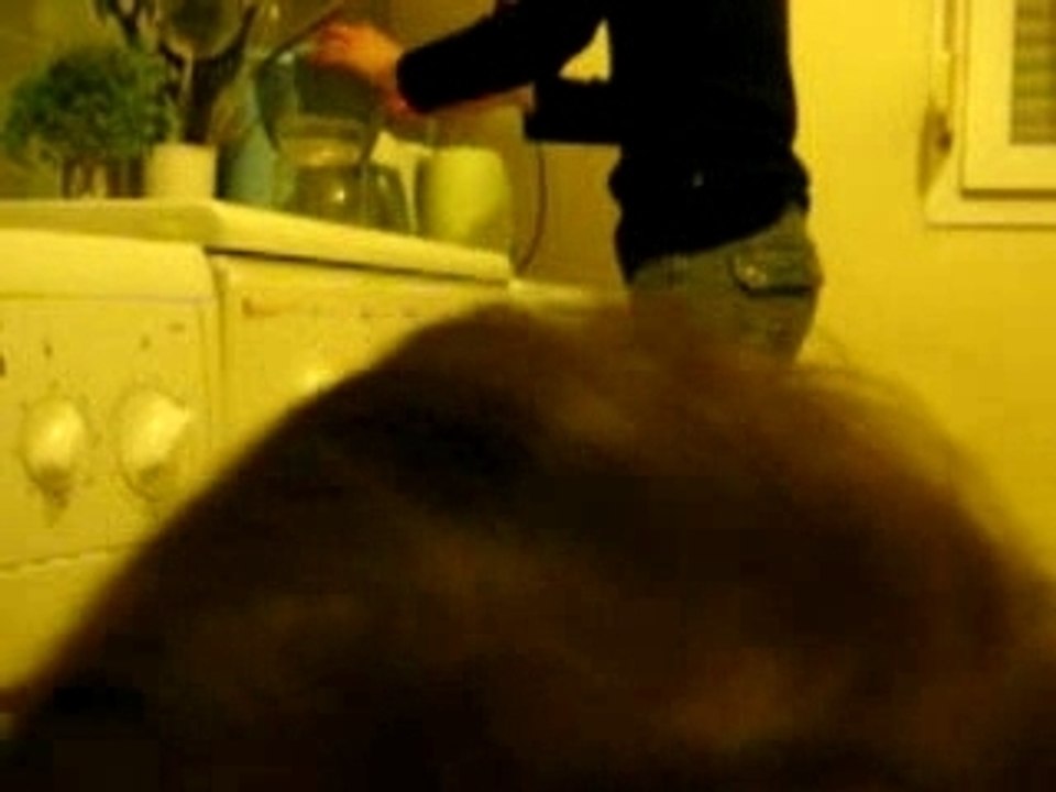 bébé cherche maman