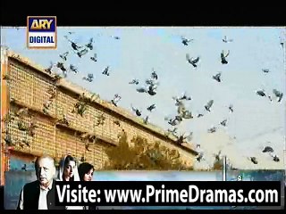 Dusri Bivi Episode 4 part 2 ary digital