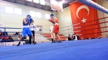 Türkiye Erkekler Boks Şampiyonası Hatay'da Başladı