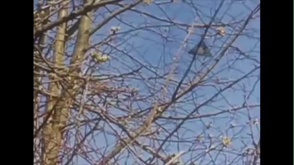 Triangle UFO over York in England?