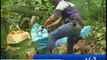 La Policía decomisó 382 kilos de droga en Esmeraldas