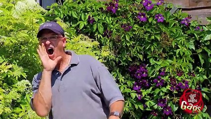 It's Raining Balls Best Funny ! BY studio 2 New Funny videos