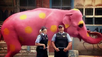 Just For Laughs Gags - SUBSCRIBE Best Funny ! BY studio 2 New Funny videos