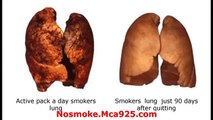 Lung Detoxification-How to Clean Tar,Toxins & Quit Smoking detox lungs
