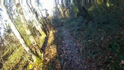 20141221 - Paumage dans la montage d'age