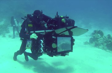 Nature - Featurette (5) VOST