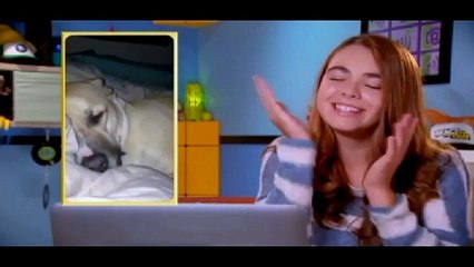 React to That Season 1 Episode 2 - Can’t Stop the Headbang and Baby Monkey Riding on a Pig