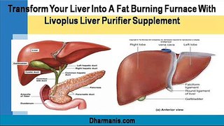 Transform Your Liver Into A Fat Burning Furnace With Livoplus Liver Purifier Supplement