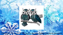 Acosta - Turquoise Blue Enamel & Crystal - Silver Colored Owl Hair Slide / Clip / Accessory - Gift Boxed Review