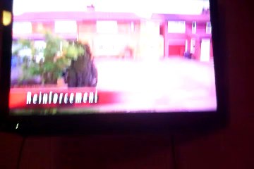 Disney Bumper - Elephants