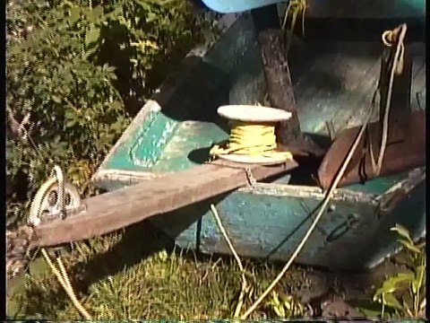 Bella Coola Natural History: Grizzly Bear, Common Goldeneye