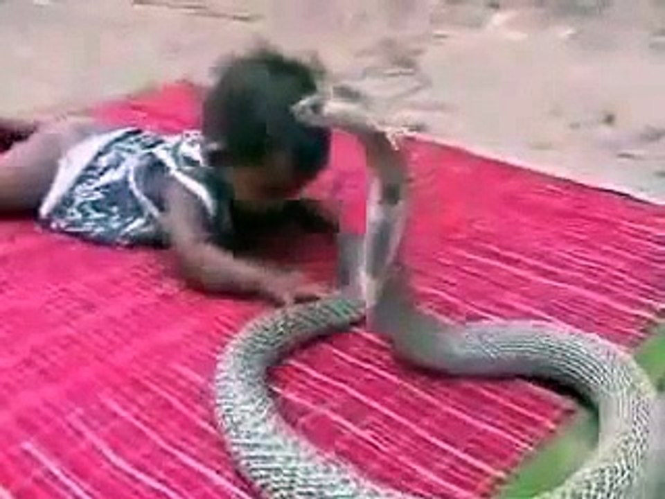 Wow Snake