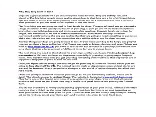 Why Buy Dog Stuff in UK?