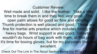 Revgear Deluxe Pro MMA Gloves Review
