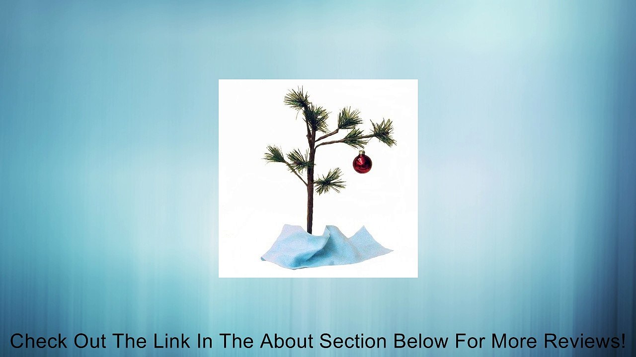 14" Charlie Tree with Ornament and Blanket Review
