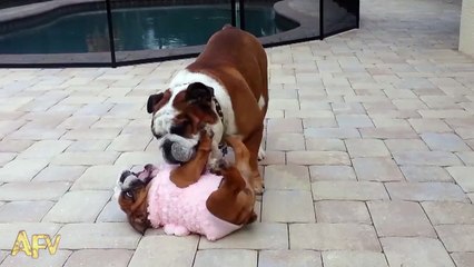 When Daddy And Baby Are Playing