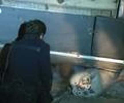 Sivas'ta yolcu otobüsü devrildi