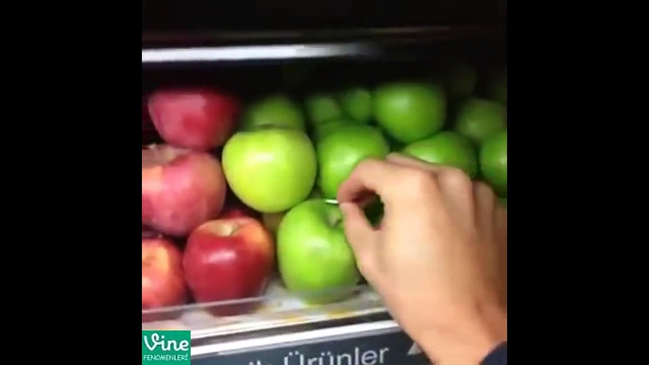 Salih Zafer Kunt Tüm Vine'ları | 304 Vinesi | Salih Zafer Kunt Vine