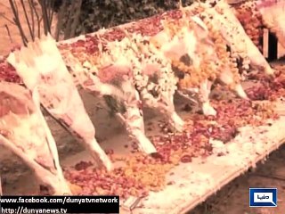 Dunya news- Nation still in grief a week after peshawar massacre